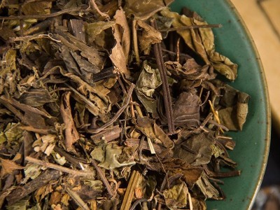 中药材 正品石见穿 石打穿 紫参 月下红 华鼠尾草新货 500克 包邮图3