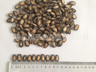 + 西瓜籽 中片 85货图5