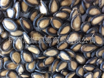 + 西瓜籽 中片 85货图4