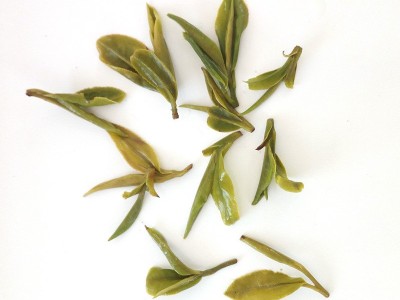 山东日照绿茶自产自销厂家炒青茶叶绿茶批发 日照绿茶散装图4