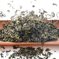 批发山东日照绿茶价格低 炒茶可加工 日照巨峰卜落新芽绿茶