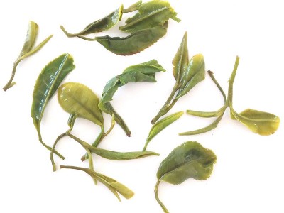 日照绿茶春茶批发2022新茶叶春茶散装高山绿茶厂家自产自销图1