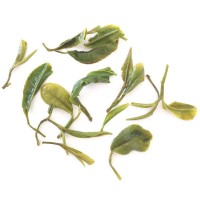 日照绿茶春茶批发2022新茶叶春茶散装高山绿茶厂家自产自销