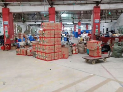 喜良蔬菜种子喜笋8号青皮青肉香甜爽脆大莴笋F1基地田园露地500克图4