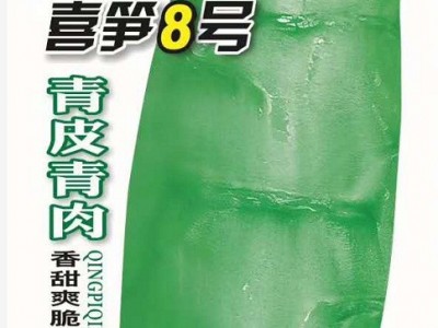 喜良蔬菜种子喜笋8号青皮青肉香甜爽脆大莴笋F1基地田园露地500克图5