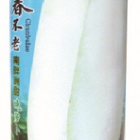 好阳光子龙蔬菜种子春不老南畔洲甜晚萝卜白萝卜基地田园露地阳台