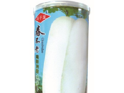 好阳光子龙蔬菜种子春不老南畔洲甜晚萝卜白萝卜基地田园露地阳台图4