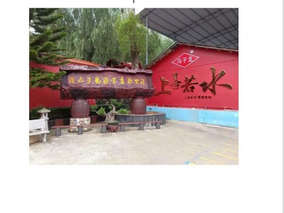 好阳光子龙蔬菜种子春不老南畔洲甜晚萝卜白萝卜基地田园露地阳台图2