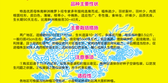 南畔洲反面