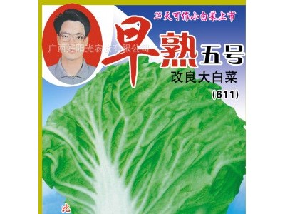 小白菜好阳光蔬菜种子改良早熟五号大白菜611基地田园25天可作图5