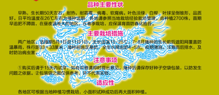 早熟五号改良大白菜背面