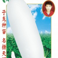 好阳光蔬菜种子意大利母株南畔洲晚萝卜基地田园阳台盆栽