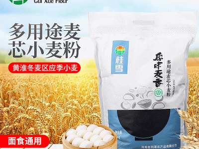 桂雪5kg麦芯小麦粉多用途包子馒头面粉 麦香小麦面粉批发图5