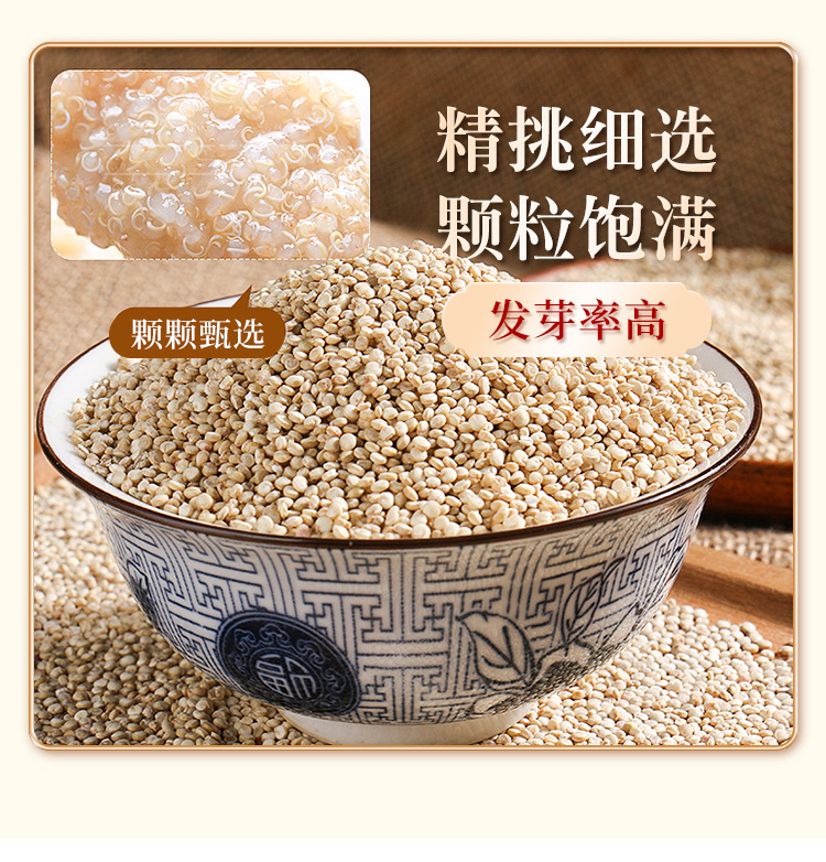 白藜麦_05.jpg