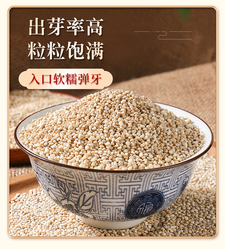 白藜麦_04.jpg