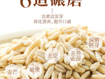 燕麦胚芽米内蒙古裸燕麦米燕麦仁胚芽米工厂直发图2