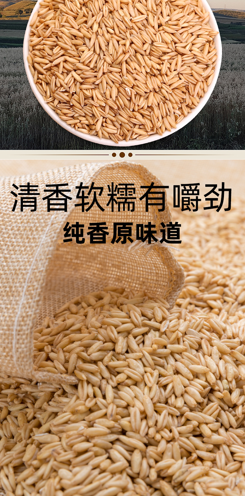最新燕麦米_02.jpg