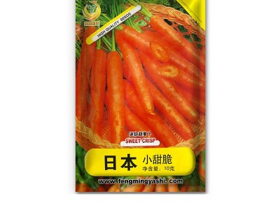 凤鸣雅世 小脆甜迷你胡萝卜种子10克 四季农家蔬菜种子菜种籽批发图4