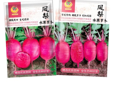 凤鸣雅世 凤梨萝卜种子 100粒+10克组合 四季农家蔬菜种子批发图5