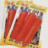 10克八寸参胡萝卜种子 红肉萝卜三红胡萝卜 秋播阳台田园蔬菜种子