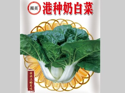 揭美港奶油白菜种子 甜 高产 菜籽原厂彩袋包装20克 高产四季阳台图3