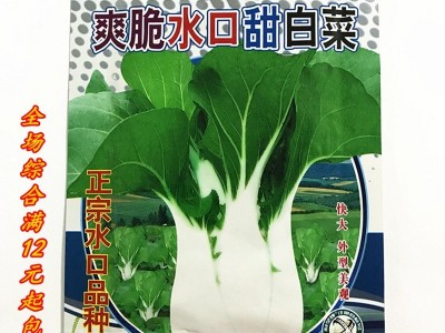 四季蔬菜种子 20克水口超甜白菜种子 甜嫩水口白菜 好吃白菜种子图1