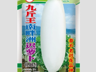 揭美南畔洲晚萝卜九斤王萝卜种子 晚白萝卜 原厂彩袋包装25克装图1