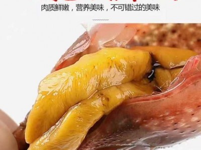 鲜活小龙虾批发活的小龙虾湖北中青虾潜江小龙虾清水大红炮虾盱眙图4