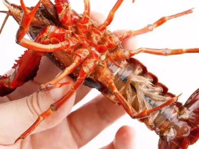 现货小龙虾鲜活江苏清水潜江小龙虾活体新鲜青壳虾红壳虾大虾批发图3