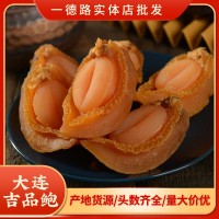 大连吉品鲍鱼黄金鲍12头 15头 18头海味干货产品 全规格鲍鱼批发