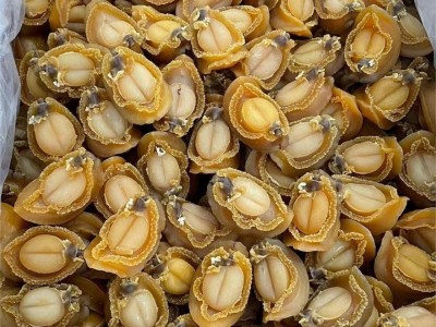 大连吉品鲍鱼黄金鲍12头 15头 18头海味干货产品 全规格鲍鱼批发图4