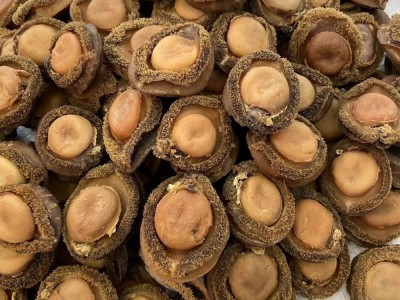 源头批发南非鲍鱼海味批发鲍鱼南非鲍鱼干4头一手货源图2