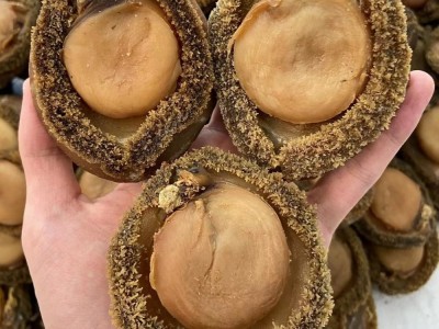 源头批发南非鲍鱼海味批发鲍鱼南非鲍鱼干4头一手货源图5