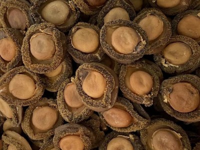 源头批发南非鲍鱼海味批发鲍鱼南非鲍鱼干4头一手货源图4