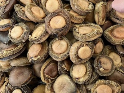 一德路批发南非鲍鱼海味批发溏心鲍南非鲍海产干货酒店8头10头12图2