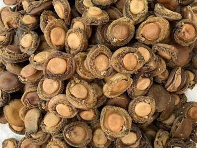 一德路批发南非鲍鱼海味批发溏心鲍南非鲍海产干货酒店8头10头12图4