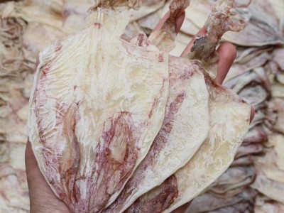 海鲜淡干A4A2烧烤手撕芥末KTV鱿鱼仔干货地摊商用鱿鱼干大量批发图2