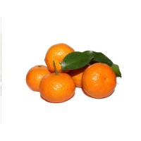 超甜广西砂糖桔橘子当季新鲜水果 皮薄甜蜜桔子砂糖橘批发
