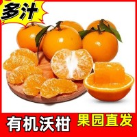 广西特产有机水果有机沃柑橘子新鲜多汁果园现摘整箱5斤起批发