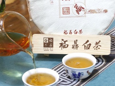 福建福鼎白茶2022年寿眉饼350g高山日晒老白茶饼厂家直供一件代发图3