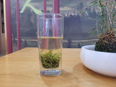 明前毛峰2022新茶绿茶茶叶板栗香耐泡散装批发图3