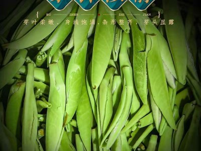 2022新茶贵州雀舌湄潭翠芽明前雀舌500g 厂家批发高山云雾散茶图3