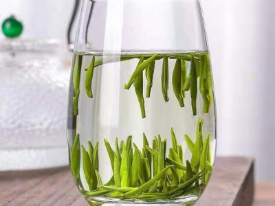 2022新茶贵州雀舌湄潭翠芽明前雀舌500g 厂家批发高山云雾散茶图5