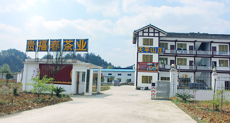 大门