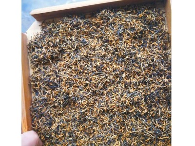 红茶 遵义红 贵州特产 单芽蜜香型 2021新茶 厂家批发散茶 招代理图2