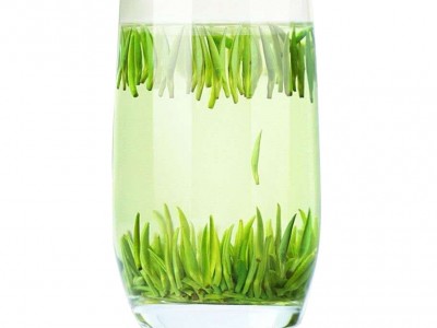 2022春茶湄潭翠芽绿茶雀舌茶贵州茶叶高山独芽散装图4