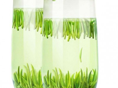 2022春茶湄潭翠芽绿茶雀舌茶贵州茶叶高山独芽散装图5