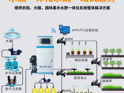 厂家供应农业灌溉水肥一体机 智能水肥一体化设备 滴灌喷灌施肥器图4
