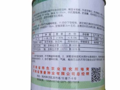 厂家直供早熟紫宝洋葱种子 耐储早熟丰产深紫皮图4
