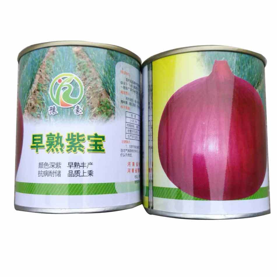 早熟紫宝.jpg